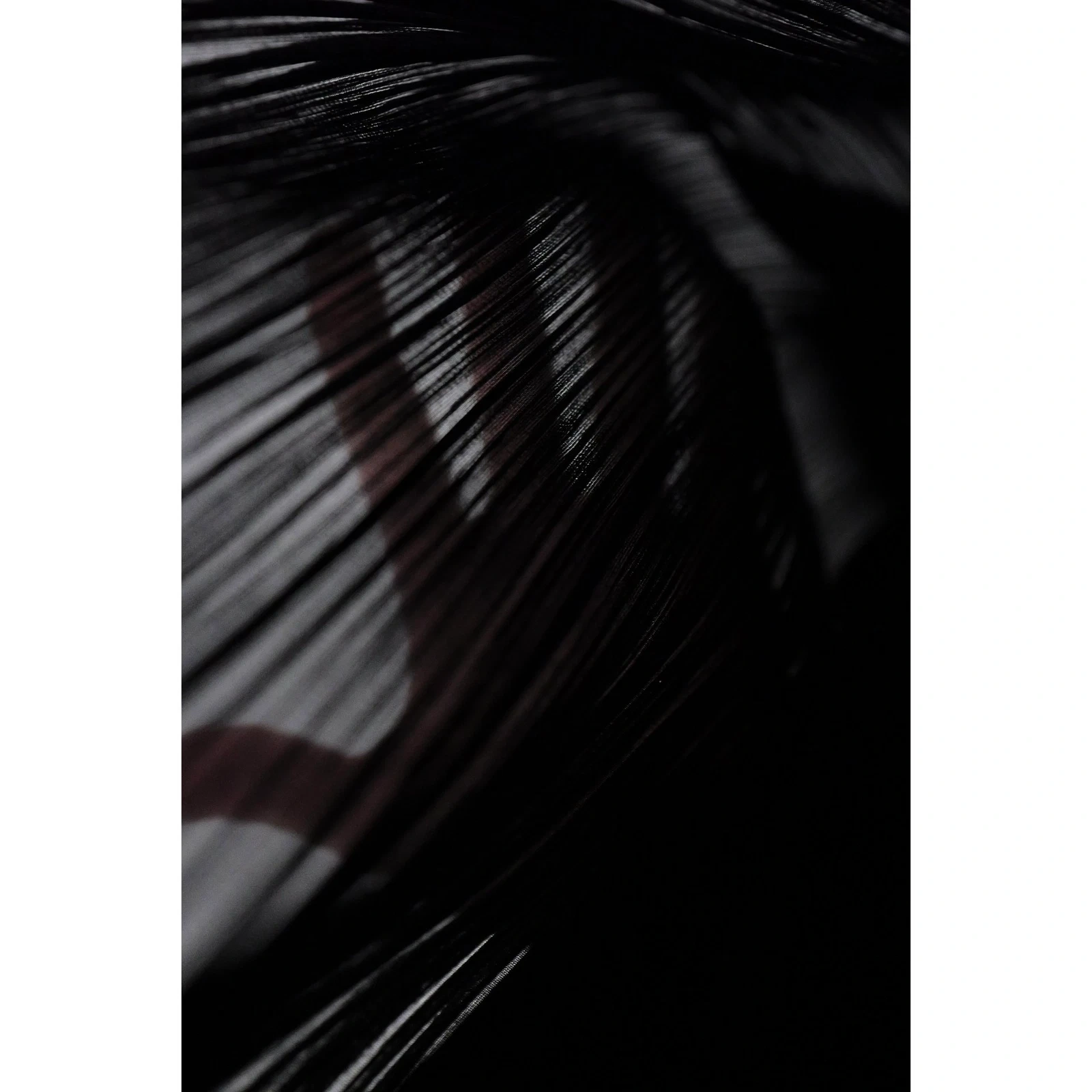 ISSEY MIYAKE Jupe mi-longue Noir vintage, passéist — photo 11