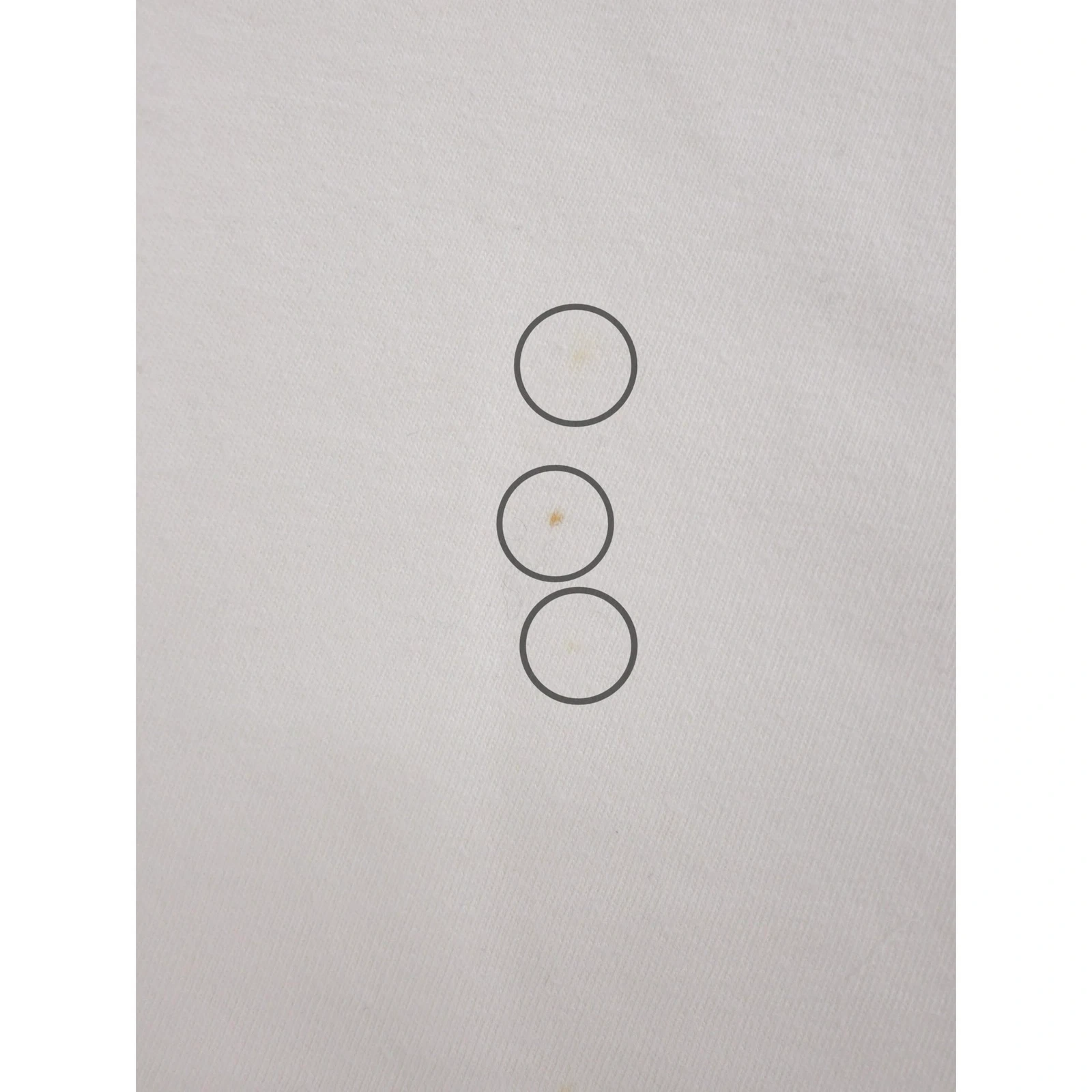 TIGRE BROCANTE T-shirt Blanc vintage, passéist — photo 11